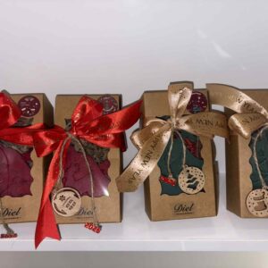 Γούρι 2026 – 1 Αρωματικό Ντουλάπας με 5 Wax Melts